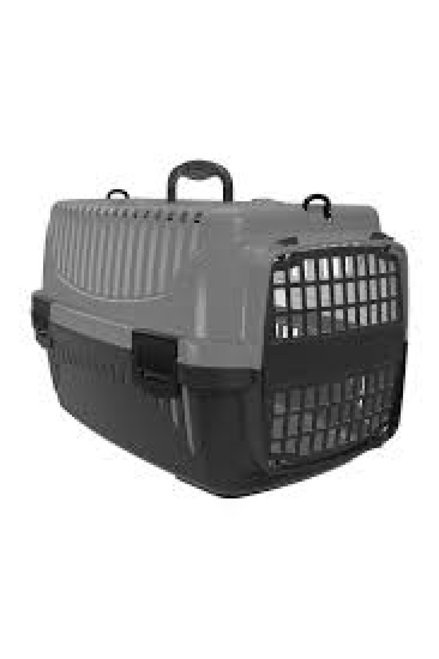 PT-100 PET CARRIER WITH PLASTICS FRONT DOOR NO: 1 - Cappucino BZLG