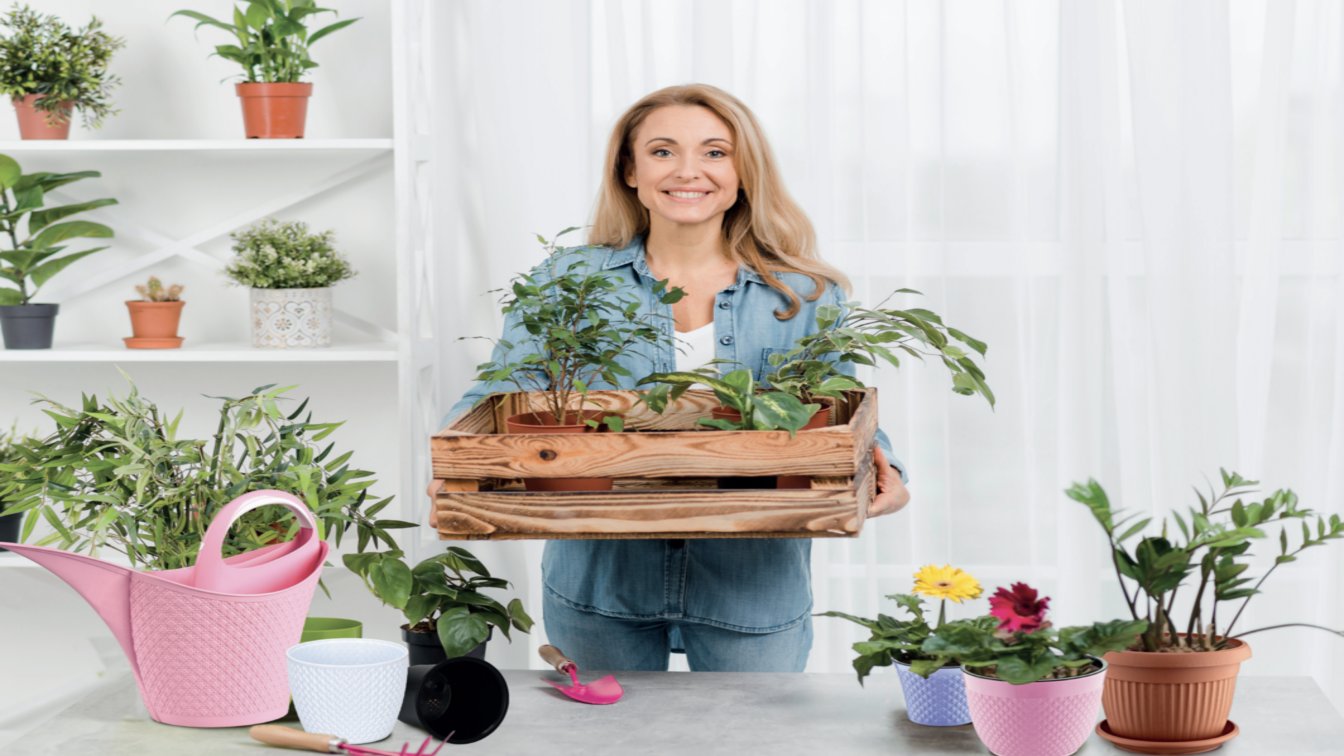 Your solution partner for your every need